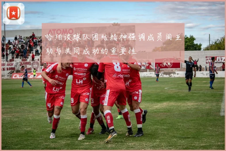 哈珀谈球队团结精神强调成员间互助与共同成功的重要性