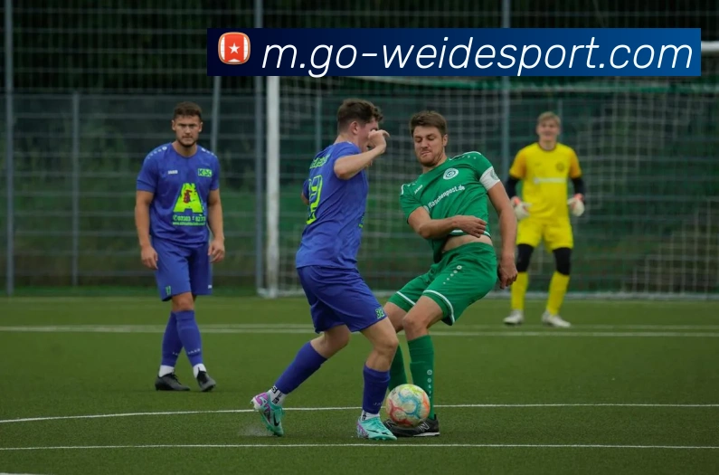 伟德体育品牌故事